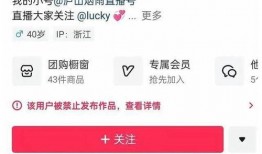 东方甄选黑粉爆料视频播放,揭秘幕后的真相与争议