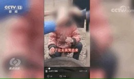 卖惨爆料视频大全下载,情感陷阱与网络舆论的交织